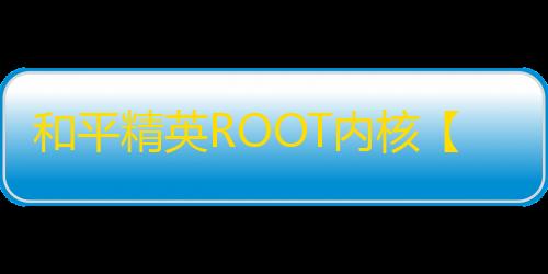 和平精英ROOT内核【晚安单透】外挂